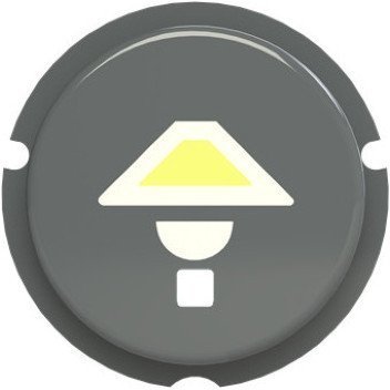 SBL-N2GR Кнопка освещение free@home, Zenit, серый, 2CLA202610N1402 в Санкт-Петербурге